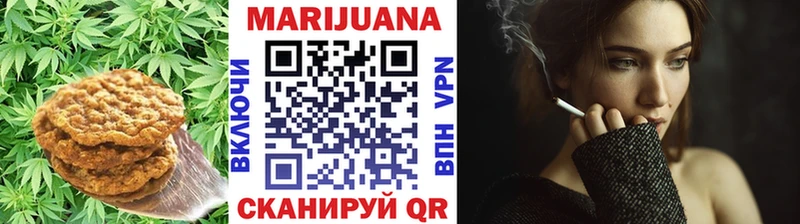 МЕГА ТОР Кувшиново Canna-Cookies конопля