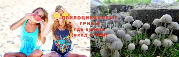 spice Баксан