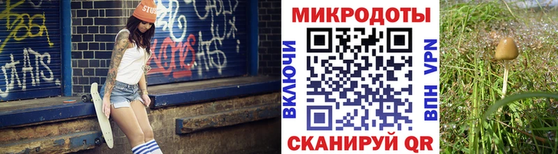 Галлюциногенные грибы Magic Shrooms  Кувшиново 